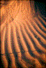 Click on thumbnail to view a full-size image
