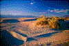 Click on thumbnail to view a full-size image