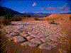 Click on thumbnail to view a full-size image