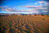 Click on thumbnail to view a full-size image