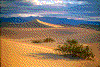 Click on thumbnail to view a full-size image