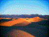 Click on thumbnail to view a full-size image