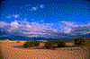 Click on thumbnail to view a full-size image