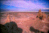 Click on thumbnail to view a full-size image