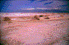 Click on thumbnail to view a full-size image