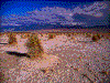 Click on thumbnail to view a full-size image