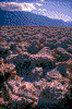 Click on thumbnail to view a full-size image