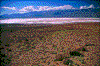 Click on thumbnail to view a full-size image