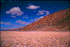 Click on thumbnail to view a full-size image