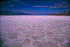Click on thumbnail to view a full-size image
