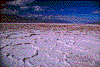 Click on thumbnail to view a full-size image