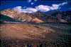 Click on thumbnail to view a full-size image