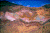 Click on thumbnail to view a full-size image