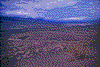 Click on thumbnail to view a full-size image