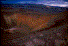 Click on thumbnail to view a full-size image