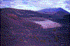 Click on thumbnail to view a full-size image