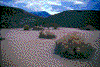 Click on thumbnail to view a full-size image