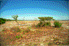 Click on thumbnail to view a full-size image