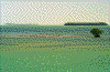 Click on thumbnail to view a full-size image
