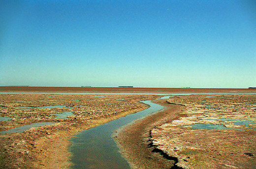 Florida Bay at low tide