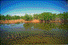 Click on thumbnail to view a full-size image