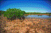 Click on thumbnail to view a full-size image