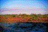 Click on thumbnail to view a full-size image