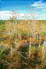 Click on thumbnail to view a full-size image