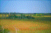 Click on thumbnail to view a full-size image
