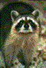 Click on thumbnail to view a full-size image