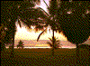 Click on thumbnail to view a full-size image
