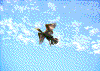 Click on thumbnail to view a full-size image