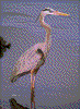 Click on thumbnail to view a full-size image