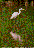 Click on thumbnail to view a full-size image