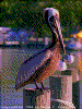 Click on thumbnail to view a full-size image