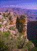 Click on thumbnail to view a full-size image