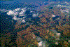 Click on thumbnail to view a full-size image
