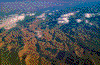 Click on thumbnail to view a full-size image