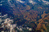Click on thumbnail to view a full-size image