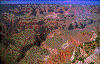 Click on thumbnail to view a full-size image
