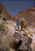 Click on thumbnail to view a full-size image
