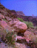 Click on thumbnail to view a full-size image