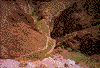 Click on thumbnail to view a full-size image