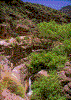 Click on thumbnail to view a full-size image
