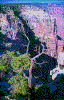 Click on thumbnail to view a full-size image