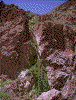 Click on thumbnail to view a full-size image