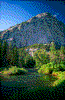Click on thumbnail to view a full-size image