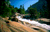 Click on thumbnail to view a full-size image