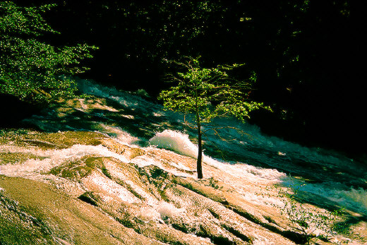 Copper Creek