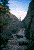 Click on thumbnail to view a full-size image
